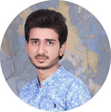 Muhammad Aleem image